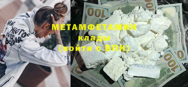 прущие грибы Гусиноозёрск