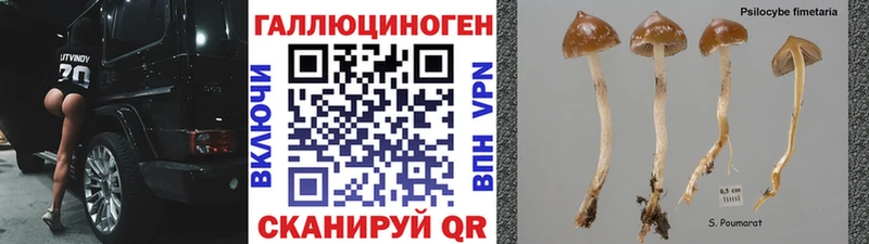 Купить закладки Котельниково Псилоцибиновые грибы мухоморы